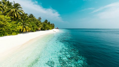 Turquoise beach summer virtual background for Teams and Zoom