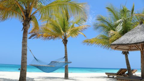 Beach hammock summer virtual background for Teams and Zoom