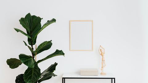 Plant corner virtual background for Teams and Zoom
